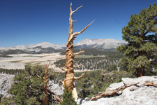 USA-California-High Sierras Wilderness Pack Trips